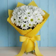 Букет цветов из:  Хризантемы в Сингапай