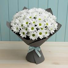 Букет цветов из:  Хризантемы #REPLACE_PRED# Сингапай