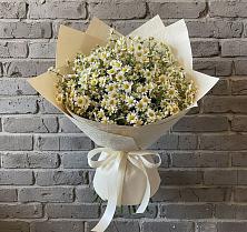 Букет цветов из:  Ромашки в Сингапай