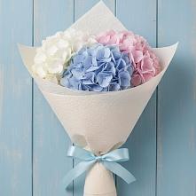 Букет цветов из:  Гортензия в Сингапай