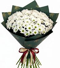 Букет цветов из:  Хризантемы в Сингапай