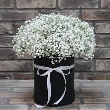 Цветочная композиция из Гипсофила в шляпной коробке в Сингапай