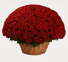 Премиум букет из: Розы #REPLACE_PRED# Сингапай