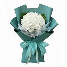 Букет цветов из:  Гортензия в Сингапай
